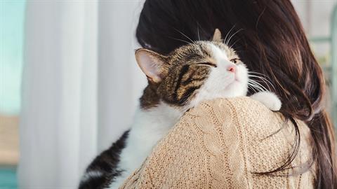 Τουρκία: δικαστήριο υποχρέωσε άνδρα να πληρώνει «διατροφή γάτας» στην πρώην σύζυγό του