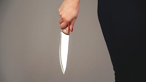 55χρονη σκότωσε τον 9χρονο γιο της - του έκοψε τον λαιμό με κουζινομάχαιρο!