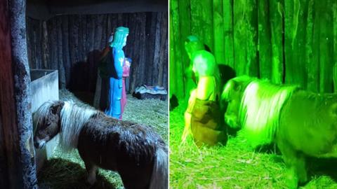 Έβαλαν ζωντανό πόνι σε χριστουγεννιάτικη φάτνη στον Βόλο: «είναι απάνθρωπο»