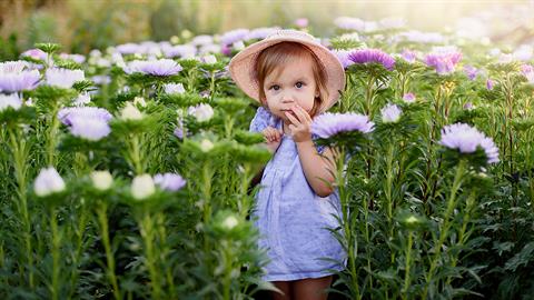 Είναι το παιδί σου παιδί-αγριόχορτο ή παιδί-ορτανσία; 