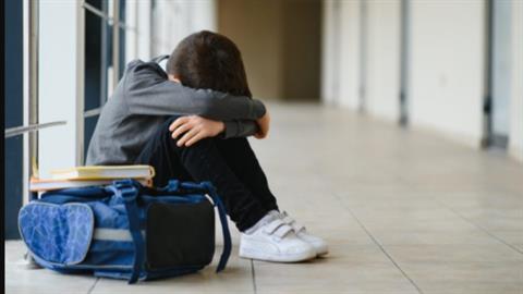 Ρόδος: μαθητής δημοτικού ανάγκασε 8χρονο να πιει νερό από καζανάκι τουαλέτας