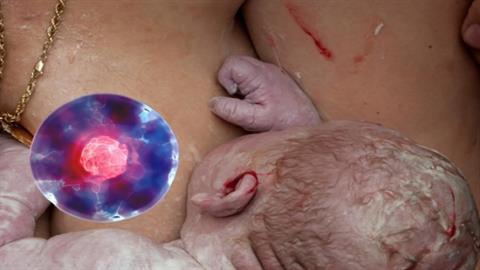 Η μαγεία της εγκυμοσύνης: το σώμα μας κρατά κύτταρα του παιδιού μας για πάντα!