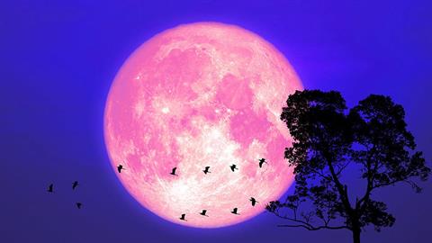 Απόψε η ροζ πανσέληνος του Απριλίου: τι συμβολίζει