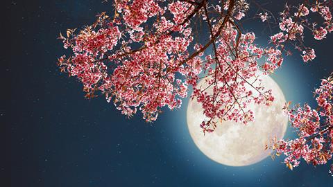 Η «πανσέληνος των λουλουδιών» θα φωτίσει τον ουρανό την Πρωτομαγιά!