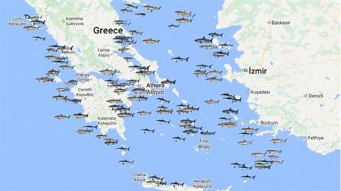 Προσοχή: σε ποιες παραλίες της Ελλάδας εμφανίζονται καρχαρίες