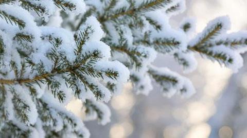Στα λευκά η Ελλάδα: Κλειστά σχολεία - Προβλήματα κυκλοφορίας 