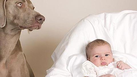 Κατοικίδια: Τι να προσέξετε πριν φέρετε το νέο μωρό 