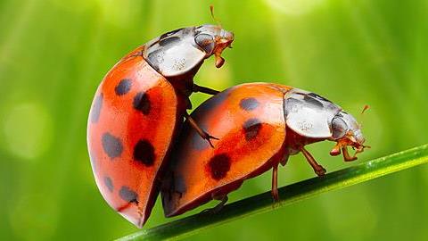 Στάσεις στο σεξ: Τι αποκαλύπτουν για εσάς