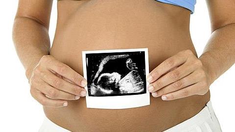 Η ανάπτυξη του εμβρύου σε 5+1 συγκλονιστικά videos