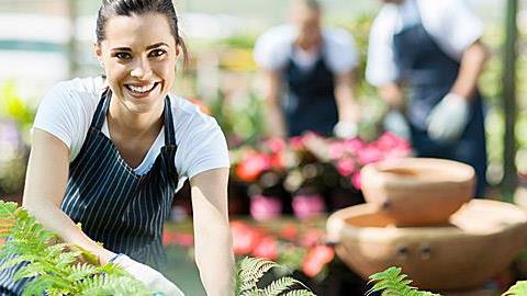 Τι να φυτέψετε και πώς να περιποιηθείτε τον κήπο την άνοιξη