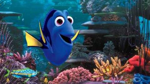 Μετά το Νέμο έρχεται το «Ψάχνοντας τη Ντόρι»