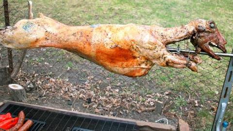 Αρνί στη σούβλα: Συμβουλές και tips για αρχάριους 