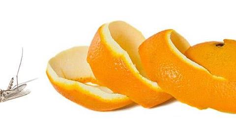 Φυσικά εντομοαπωθητικά: Αντιμετωπίστε τους εισβολείς